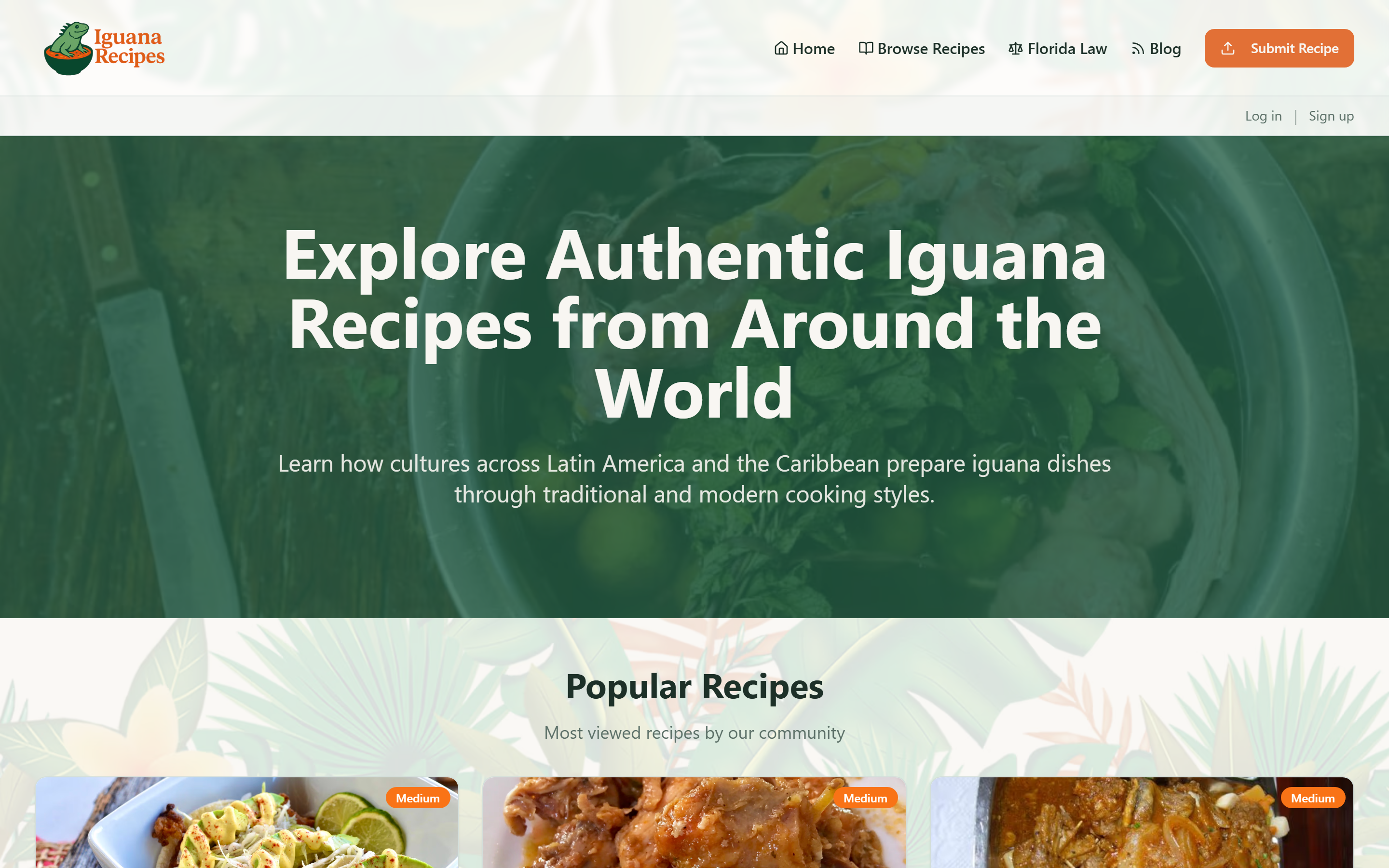 Iguana Recipes screenshot